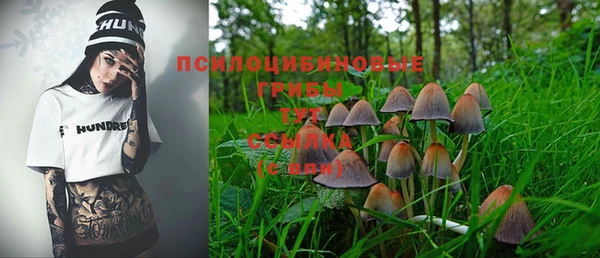 a pvp Снежинск